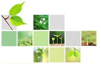 武漢新大地環(huán)保材料股份有限公司 