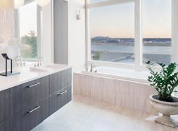 潔凈生活，其他消毒劑輔料